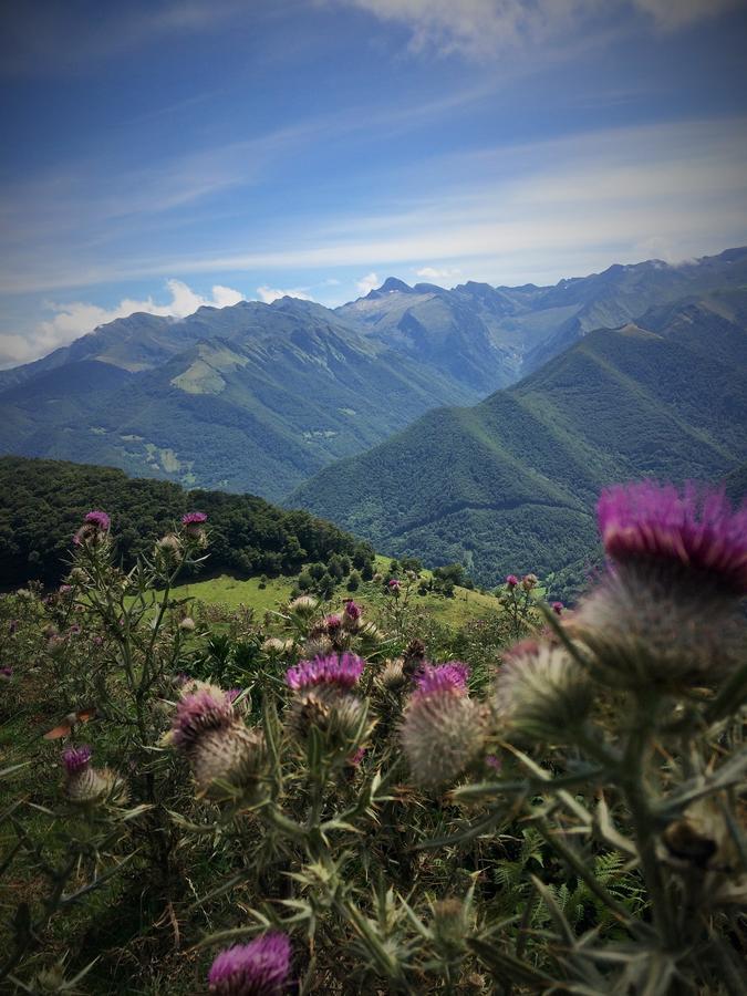 Au Detour Du Larrech Panzió Castillon-en-Couserans Kültér fotó